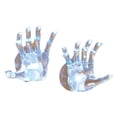 thumbnail image 1 of Gerson Halloween LED Skeleton Hands on Suction Cups They Light up and Flash Lots of Fun, 1 of 2