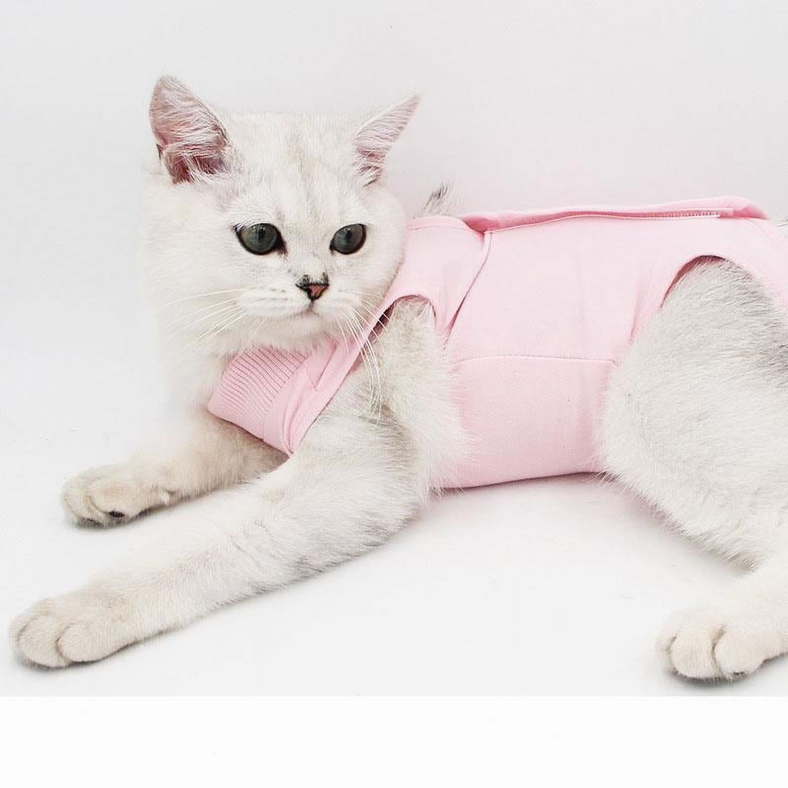 Gespout Cat Recovery Suit for Abdominal Wounds Spay After Surgery