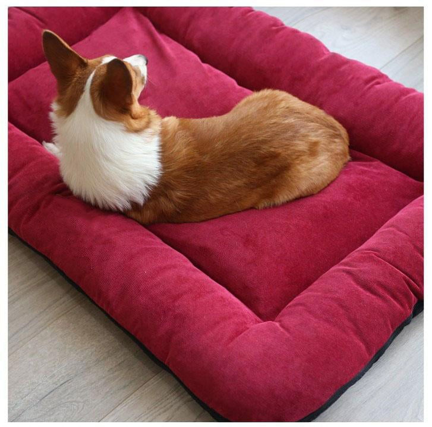 Gespout Pet Cat Bed Dog Bed, Pet Sofa Bed, Car Pet Supplies, Cat and