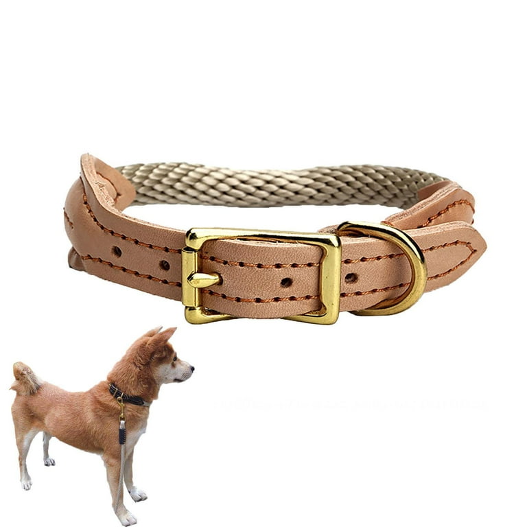 M1 store dog collar