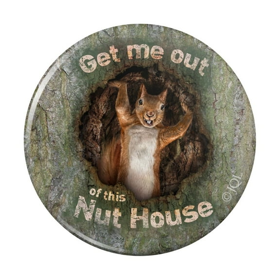 Get Me Out of this Nut House Crazy Funny Kitchen Refrigerator Locker Button Magnet