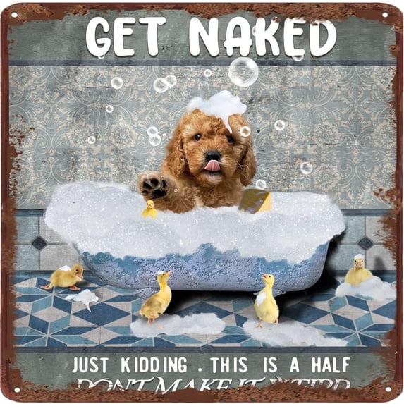 Get Naked Just Kidding This Is A Half Don't Make It Weird Poodle Dog Vintage Tin Sign Rustic Metal Tin Sign Funny Bathroom Wall Decor Animal Sign For Home Bathroom Club Housewarming Gift 12x12 Inch