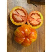 Get Stuffed Tomato Seeds Stuffable Heirloom Heritage Breed Premium Seed Packet