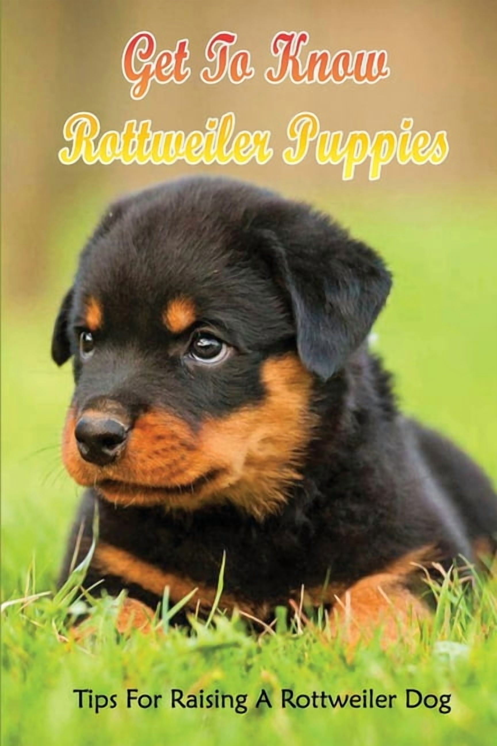 Get To Know Rottweiler Puppies: Tips For Raising A Rottweiler Dog
