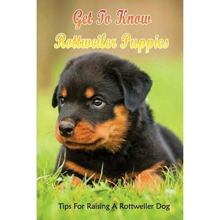 Get To Know Rottweiler Puppies: Tips For Raising A Rottweiler Dog