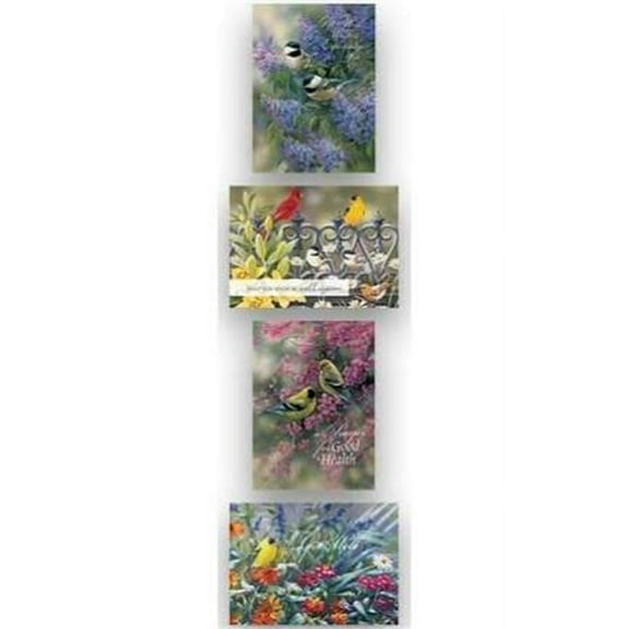 Get Well 3-Birds Shared Blessings Cards, Box of 12