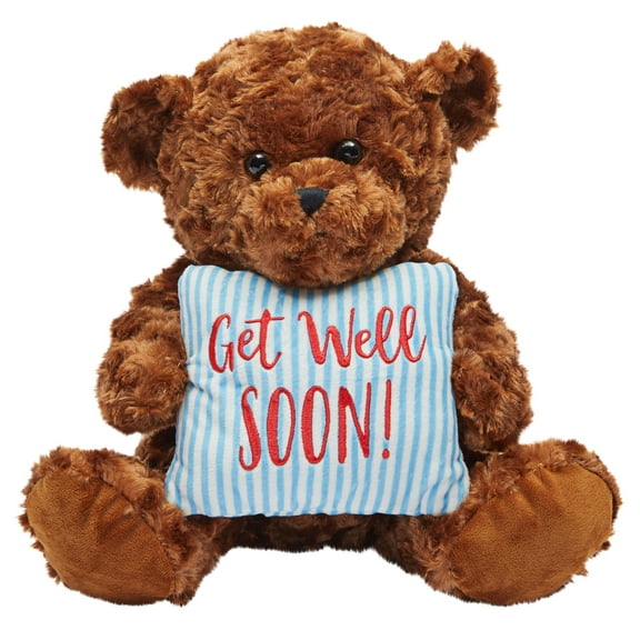 Blue Panda Teddy Bear Plush with Get Well Pillow - Get Well Gift for Women, Men & Teens - Plush Stuffed Animals for Kids & Hospital Visitors - Dark Brown - 14 in