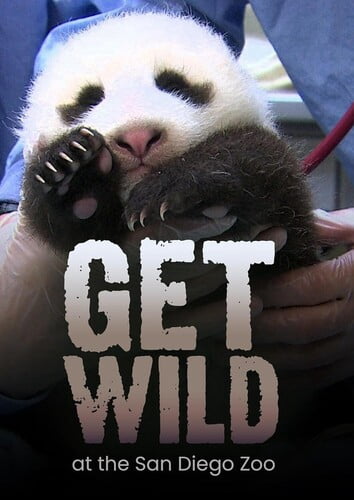 Get Wild (DVD), Dreamscape, Drama