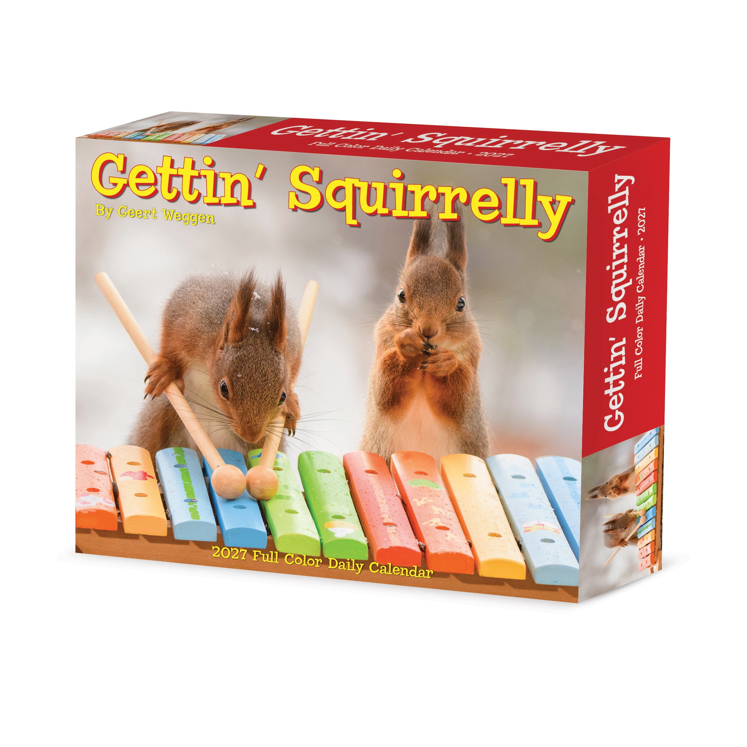 Willow Creek Press, Gettin' Squirrelly 2027 Box Calendar