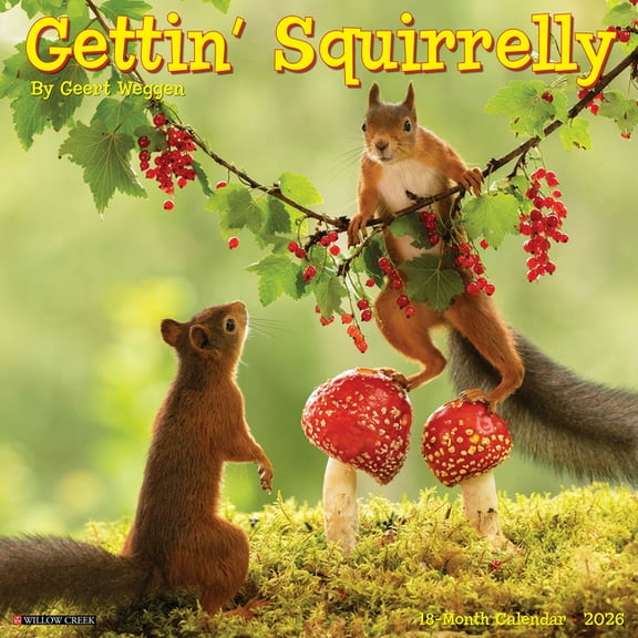 Gettin' Squirrelly 2026 Wall Calendar, (Paperback)