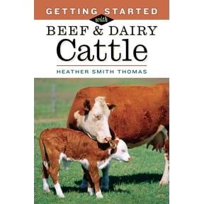 Getting Started with Beef & Dairy Cattle - Paperback
