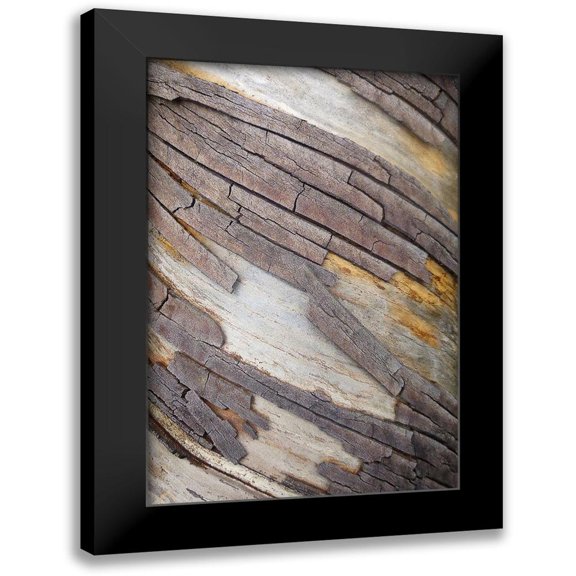 Geyman, Vitaly 11x14 Black Modern Framed Museum Art Print Titled - Bark Art II