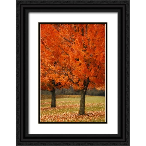 Geyman, Vitaly 11x14 Black Ornate Wood Framed with Double Matting Museum Art Print Titled - Splash of Color I
