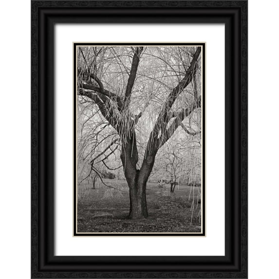 Geyman, Vitaly 11x14 Black Ornate Wood Framed with Double Matting Museum Art Print Titled - Winters Palace VII BandW