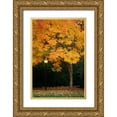 thumbnail image 1 of Geyman, Vitaly 11x14 Gold Ornate Wood Framed with Double Matting Museum Art Print Titled - Fall Abundance IX, 1 of 4