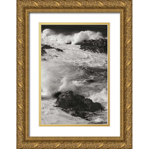 Geyman, Vitaly 11x14 Gold Ornate Wood Framed with Double Matting Museum Art Print Titled - Ocean Fury IV