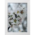 thumbnail image 1 of Geyman, Vitaly 11x14 White Modern Wood Framed Museum Art Print Titled - Spring Blossoms I, 1 of 4