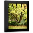 thumbnail image 1 of Geyman, Vitaly 13x18 Black Modern Framed Museum Art Print Titled - Fall Abundance II, 1 of 5