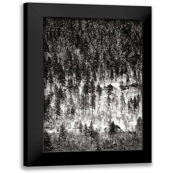Geyman, Vitaly 13x18 Black Modern Framed Museum Art Print Titled - Winter Mosaic II