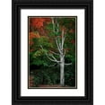 thumbnail image 1 of Geyman, Vitaly 13x18 Black Ornate Wood Framed with Double Matting Museum Art Print Titled - Tree of Life I, 1 of 4
