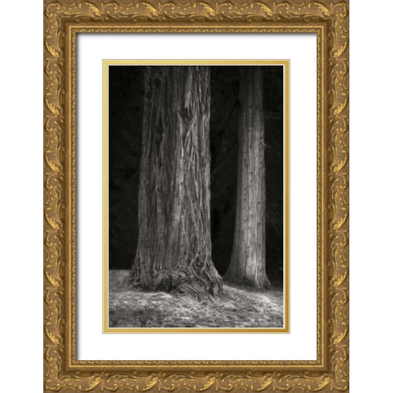 Geyman, Vitaly 13x18 Gold Ornate Wood Framed with Double Matting Museum Art Print Titled - Ancient Forest II BandW