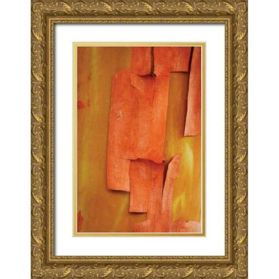 Geyman, Vitaly 13x18 Gold Ornate Wood Framed with Double Matting Museum Art Print Titled - Madrone Mosaic II