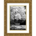 thumbnail image 1 of Geyman, Vitaly 13x18 Gold Ornate Wood Framed with Double Matting Museum Art Print Titled - Silver Fall I, 1 of 4