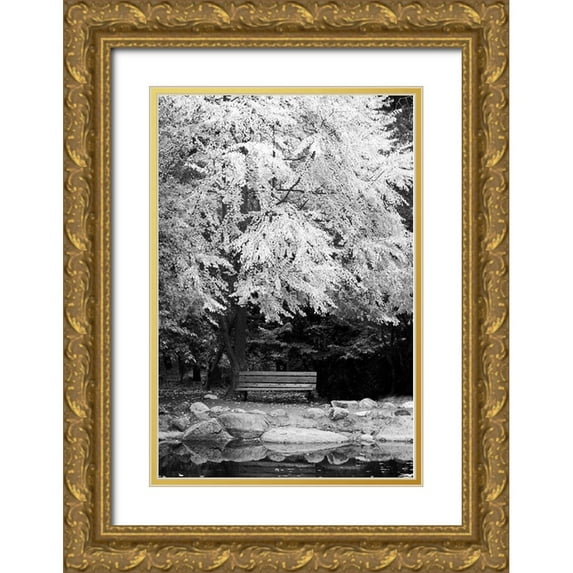 Geyman, Vitaly 13x18 Gold Ornate Wood Framed with Double Matting Museum Art Print Titled - Silver Fall I