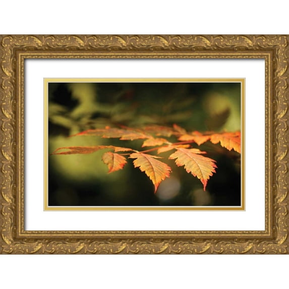 Geyman, Vitaly 14x10 Gold Ornate Wood Framed with Double Matting Museum Art Print Titled - Autumn Fire Leaves II