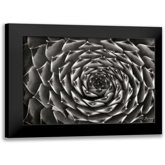 Geyman, Vitaly 14x11 Black Modern Framed Museum Art Print Titled - Floral Labyrinth II