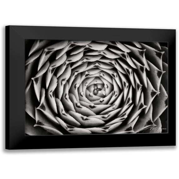 Geyman, Vitaly 14x11 Black Modern Framed Museum Art Print Titled - Floral Labyrinth I