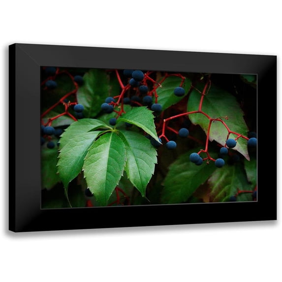 Geyman, Vitaly 14x11 Black Modern Framed Museum Art Print Titled - Vinyard Mozaic