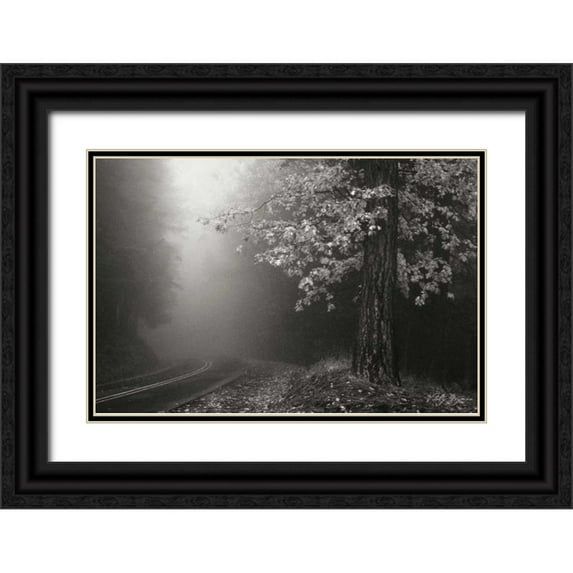 Geyman, Vitaly 14x11 Black Ornate Wood Framed with Double Matting Museum Art Print Titled - Misty Yellow Tree BandW