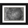 thumbnail image 1 of Geyman, Vitaly 14x11 Black Ornate Wood Framed with Double Matting Museum Art Print Titled - Rings of Life I, 1 of 4