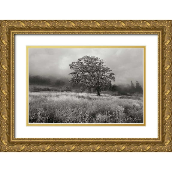 Geyman, Vitaly 14x11 Gold Ornate Wood Framed with Double Matting Museum Art Print Titled - Field of Gold BandW