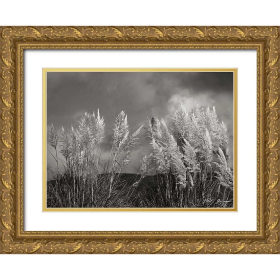 Geyman, Vitaly 14x11 Gold Ornate Wood Framed with Double Matting Museum Art Print Titled - White Towers II BandW