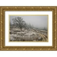 thumbnail image 1 of Geyman, Vitaly 14x11 Gold Ornate Wood Framed with Double Matting Museum Art Print Titled - Winter Serenity, 1 of 4