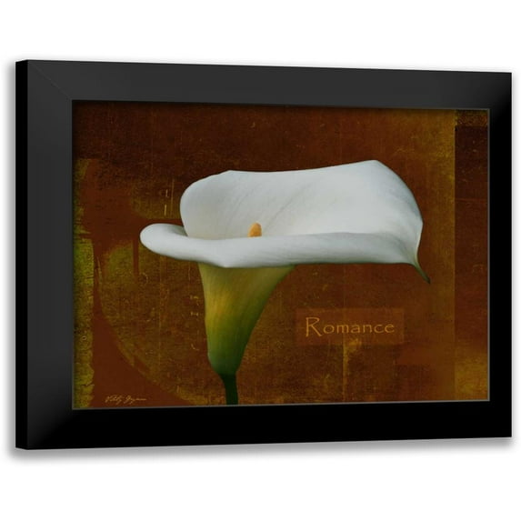 Geyman, Vitaly 14x12 Black Modern Framed Museum Art Print Titled - Calla Lily Romance