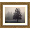 thumbnail image 1 of Geyman, Vitaly 14x12 Gold Ornate Wood Framed with Double Matting Museum Art Print Titled - Silent Night, 1 of 4