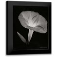 thumbnail image 1 of Geyman, Vitaly 14x18 Black Modern Framed Museum Art Print Titled - Morning Glory I, 1 of 5