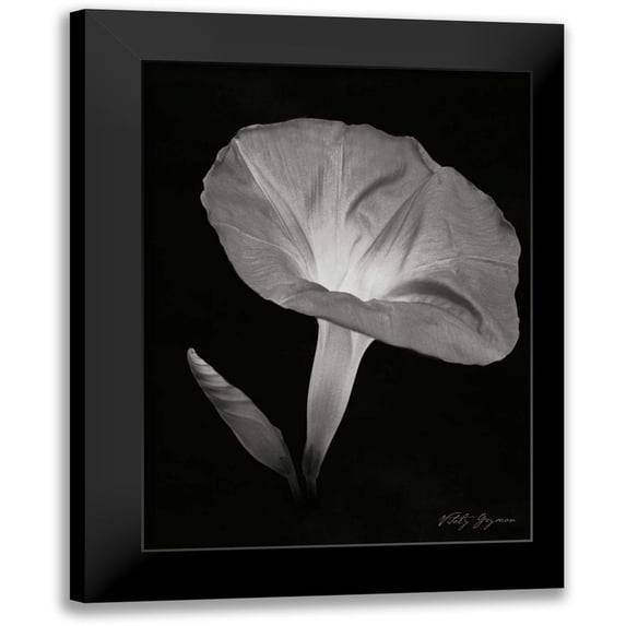 Geyman, Vitaly 14x18 Black Modern Framed Museum Art Print Titled - Morning Glory I