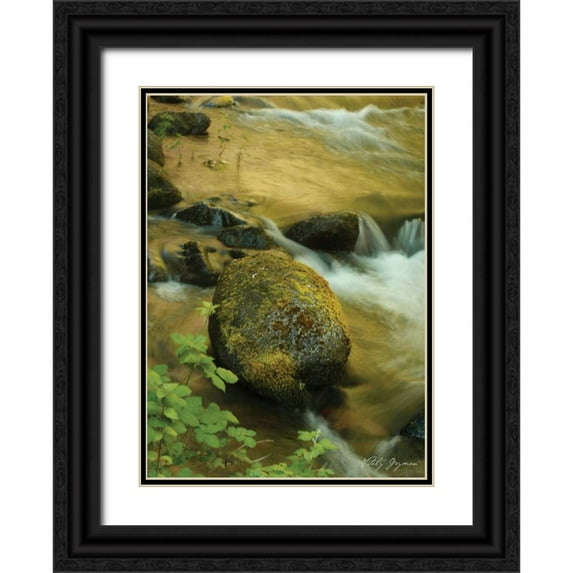 Geyman, Vitaly 14x18 Black Ornate Wood Framed with Double Matting Museum Art Print Titled - Soothing Waters IX
