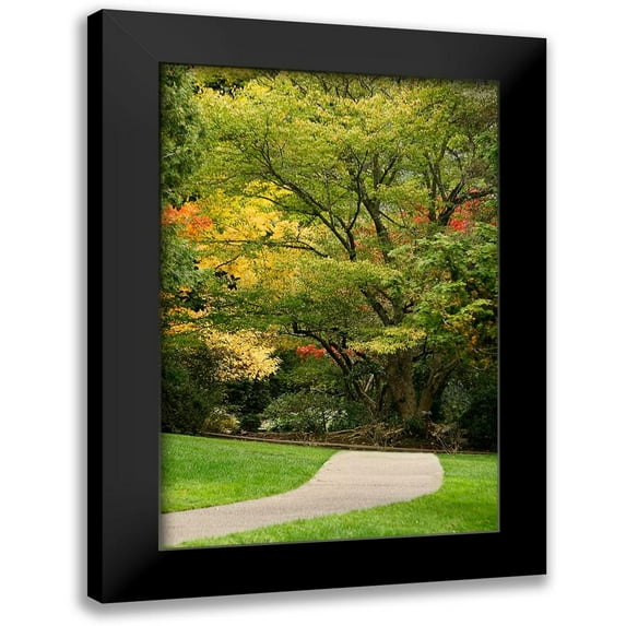 Geyman, Vitaly 17x24 Black Modern Framed Museum Art Print Titled - Fall Colors III