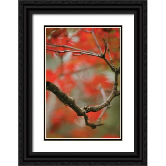 Geyman, Vitaly 17x24 Black Ornate Wood Framed with Double Matting Museum Art Print Titled - Autumn Tree Dance I