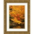 thumbnail image 1 of Geyman, Vitaly 17x24 Gold Ornate Wood Framed with Double Matting Museum Art Print Titled - Fall Bouquet I, 1 of 4