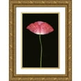 thumbnail image 1 of Geyman, Vitaly 17x24 Gold Ornate Wood Framed with Double Matting Museum Art Print Titled - Pink Poppy II, 1 of 4