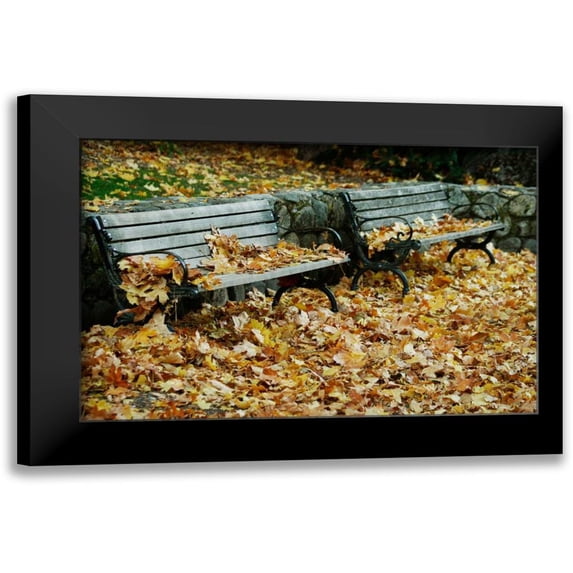 Geyman, Vitaly 18x13 Black Modern Framed Museum Art Print Titled - Autumn Paradise I