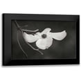 thumbnail image 1 of Geyman, Vitaly 18x13 Black Modern Framed Museum Art Print Titled - Dogwood Delicacy I BandW, 1 of 5