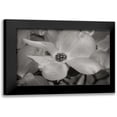 thumbnail image 1 of Geyman, Vitaly 18x13 Black Modern Framed Museum Art Print Titled - Dogwood Delicacy IV BandW, 1 of 5