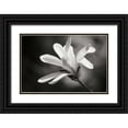 thumbnail image 1 of Geyman, Vitaly 18x13 Black Ornate Wood Framed with Double Matting Museum Art Print Titled - Magnolia Dreams II, 1 of 4